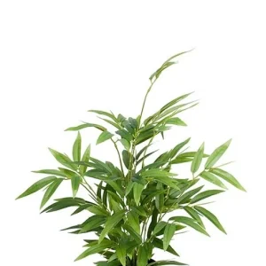 Bambu 45 cm