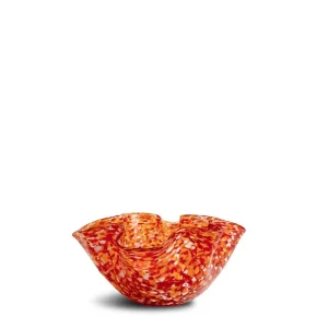 Cara Skål