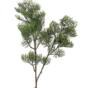 Cypresskvist