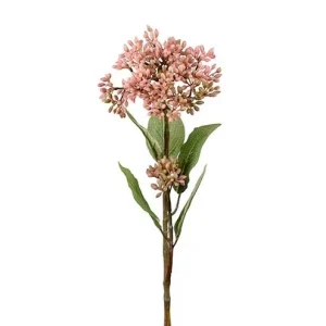 Bärkvist Pink | Snitt